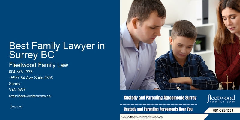 Best Family Lawyer in Surrey BC BC Family Law Cases
