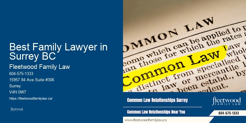 Family Law and Mediation Best Family Lawyer in Surrey BC BC