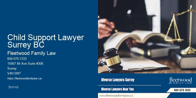 Child Support Lawyer Surrey BC family mediation experts