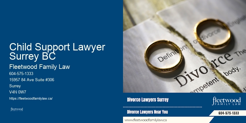 Family Law Appeals Experts Child Support Lawyer Surrey BC BC