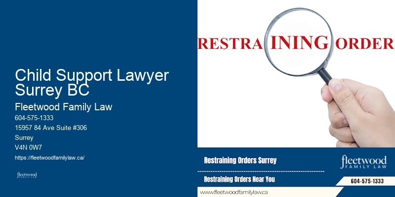 Child Support Lawyer Surrey BC BC Family Law Firm Specializing in Adoption