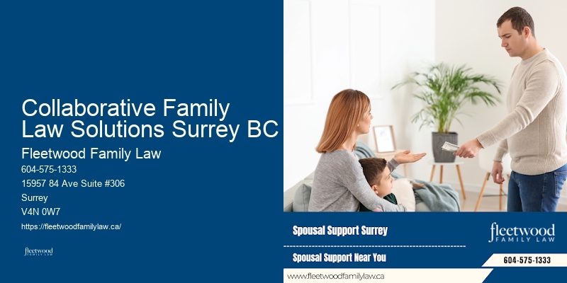 Collaborative Family Law Solutions Surrey BC BC High Net Worth Divorce Lawyer