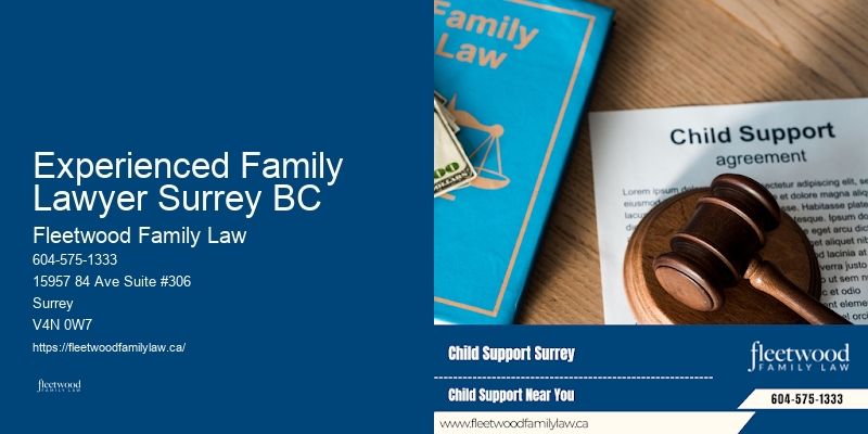 Family Law Mediation Services Experienced Family Lawyer Surrey BC BC