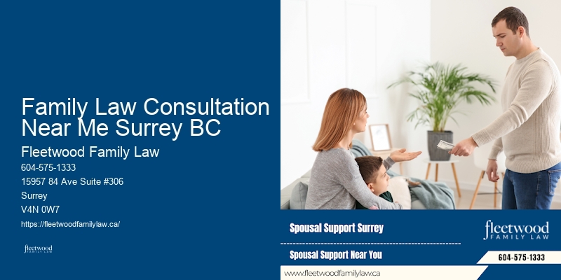 High net worth divorce lawyers Family Law Consultation Near Me Surrey BC BC