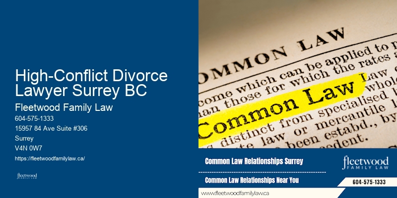 Skilled Divorce Settlement Negotiators High-Conflict Divorce Lawyer Surrey BC BC