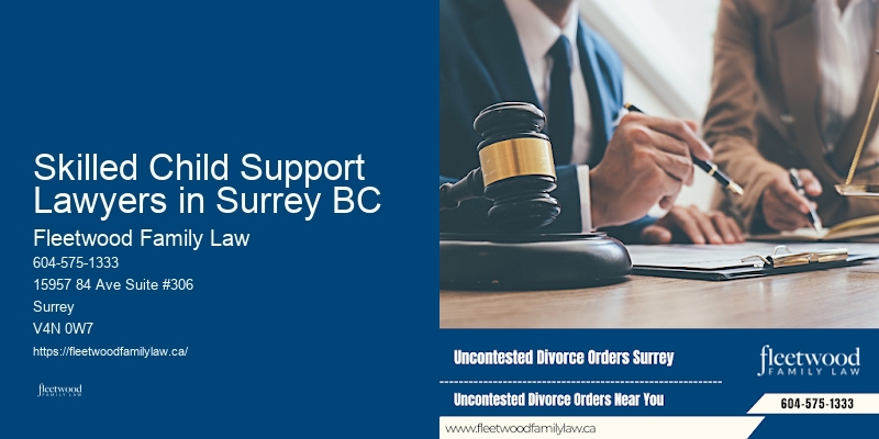 Skilled Child Support Lawyers in Surrey BC BC Legal Separation Lawyer