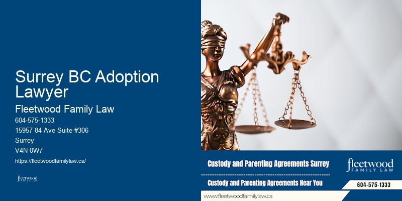 Surrey BC Adoption Lawyer BC Child Rights Lawyer