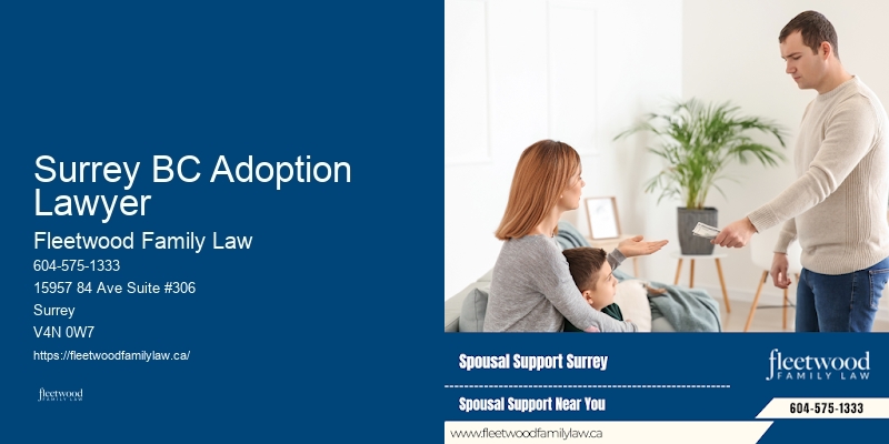 Family Law Specialist Surrey BC Adoption Lawyer BC