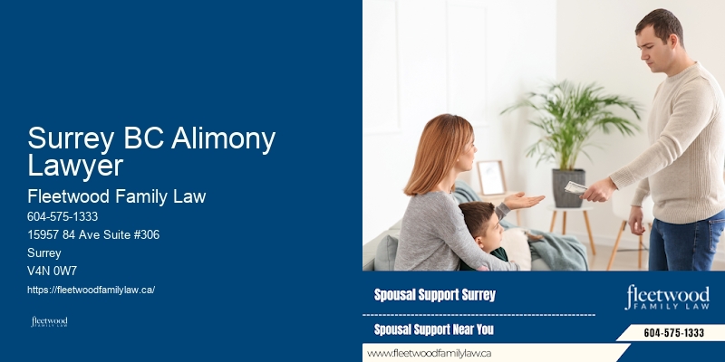 Surrey BC Alimony Lawyer BC Prenuptial Agreement Lawyer
