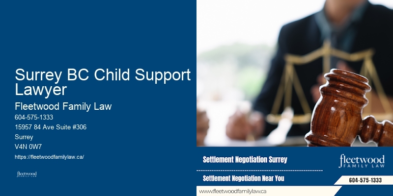 Surrey BC Child Support Lawyer BC Marriage Separation Lawyer