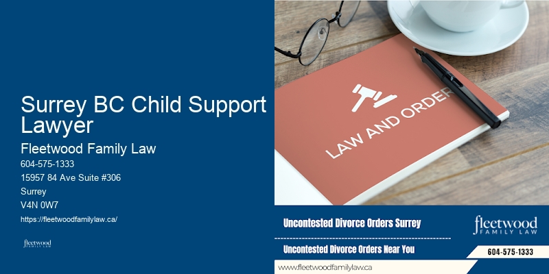 Surrey BC Child Support Lawyer BC Child Visitation Rights Lawyer