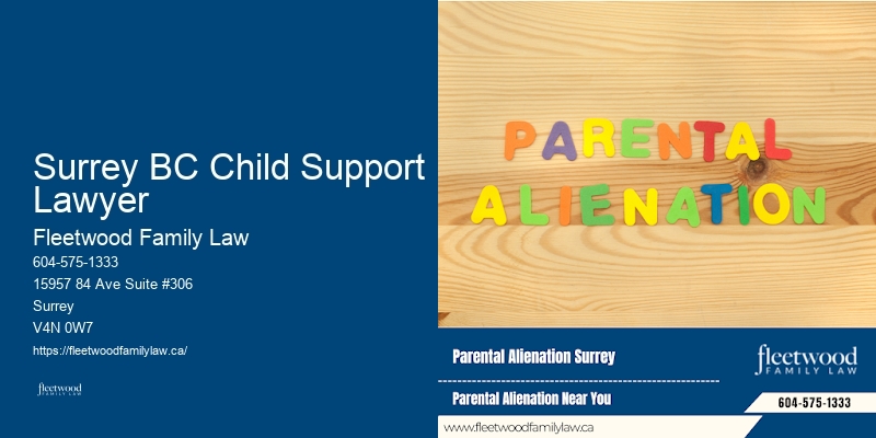 Surrey BC Child Support Lawyer BC Family Law Services for Immigrants