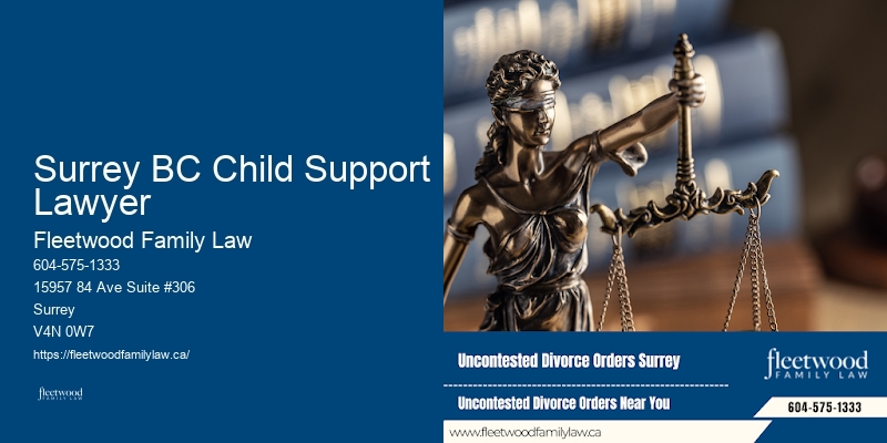 Surrey BC Child Support Lawyer BC Surrogacy Lawyer