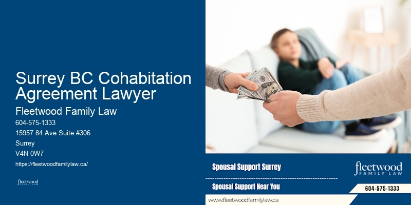 Family Law Solutions Surrey BC Cohabitation Agreement Lawyer BC