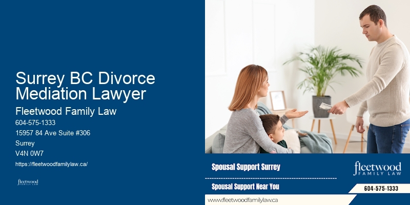 High Net Worth Divorce Legal Counsel Surrey BC Divorce Mediation Lawyer BC