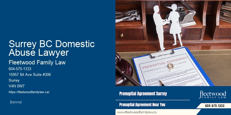 Surrey BC Domestic Abuse Lawyer BC Paternity Lawyer