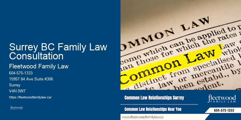 Best Family Lawyers in Surrey BC Family Law Consultation BC