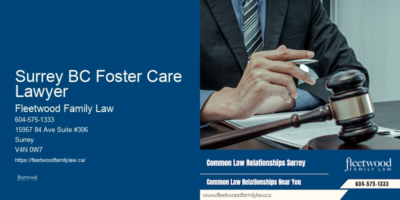 International Family Law Expertise Surrey BC Foster Care Lawyer BC