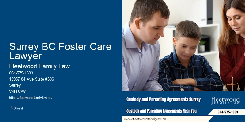 Domestic Violence Legal Protection Surrey BC Foster Care Lawyer BC