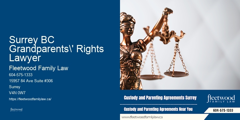 Family Lawyer For Separation Surrey BC Grandparents' Rights Lawyer BC