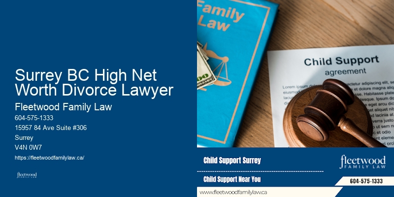 Surrey BC High Net Worth Divorce Lawyer BC Estate and Family Lawyer