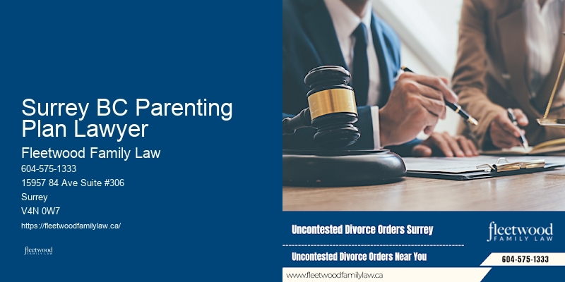 Top Family Law Firms Surrey BC Parenting Plan Lawyer BC