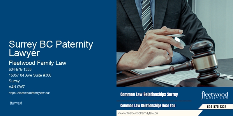 Surrey BC Paternity Lawyer BC Collaborative Divorce Lawyer