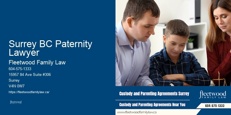 Expert Family Law Services Surrey BC Paternity Lawyer BC