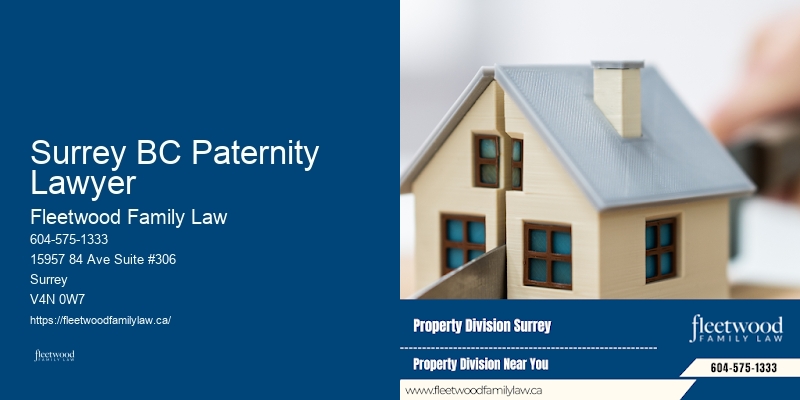 Family Law Representation Near Me Surrey BC Paternity Lawyer BC