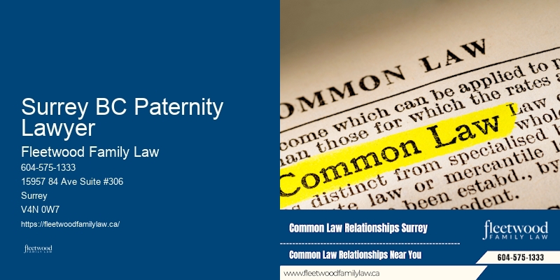 Surrey BC Paternity Lawyer BC Family Law Services for Seniors