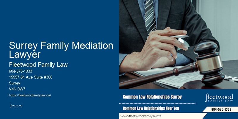 Family Law Solutions Surrey Family Mediation Lawyer BC