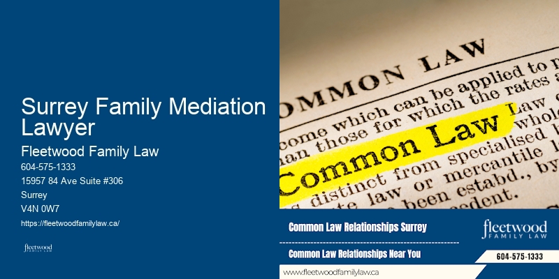 Surrey Family Mediation Lawyer BC Legal Services for Family Law