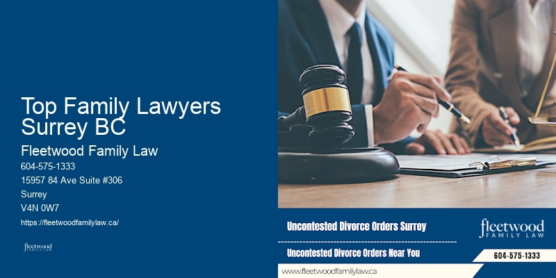 Top Family Lawyers Surrey BC BC Family Law Advisors