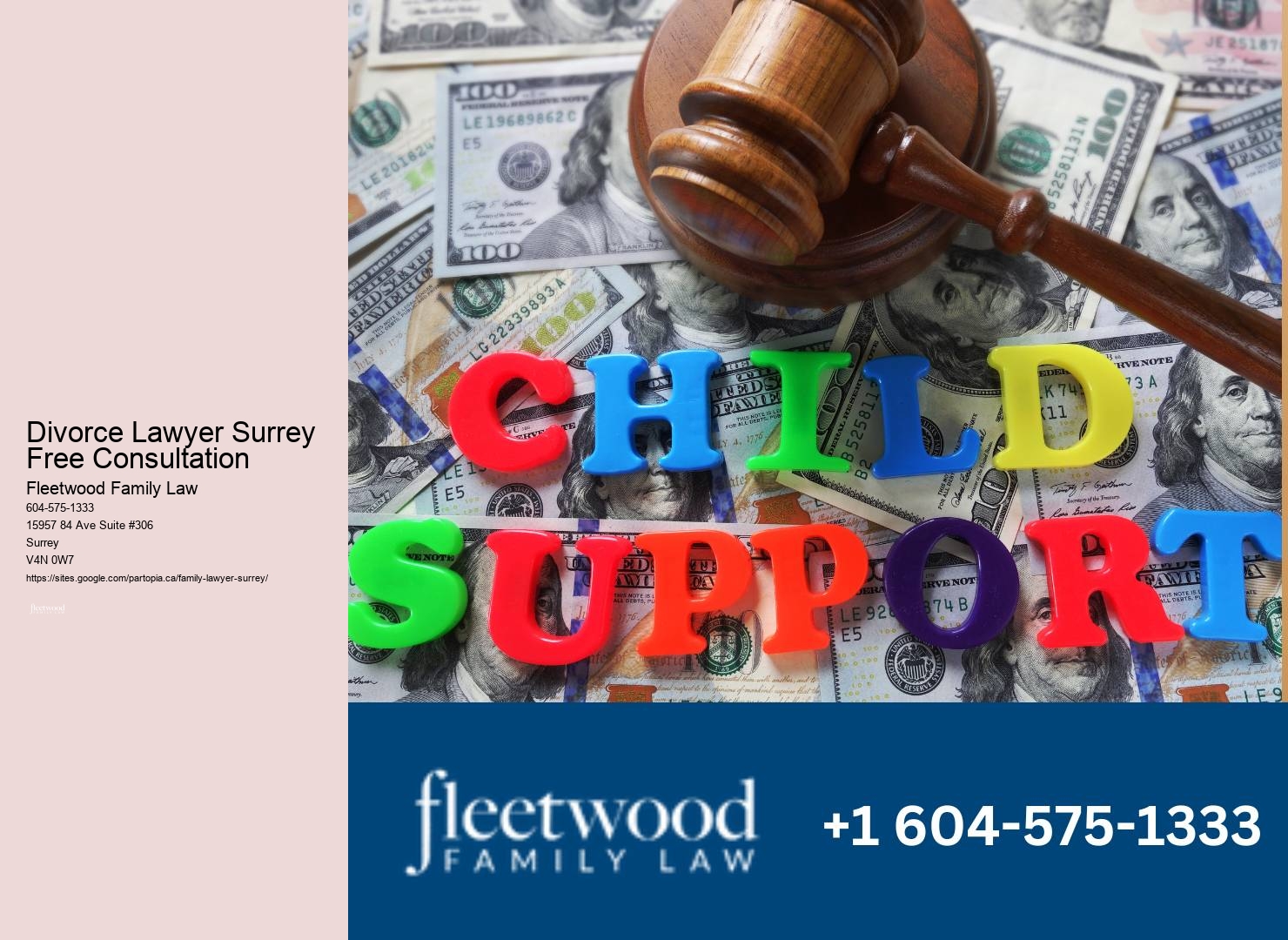Surrey family law legal recommendations