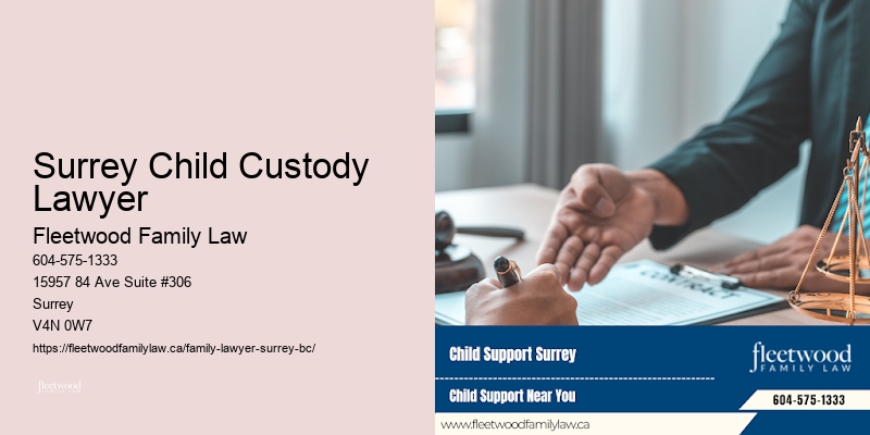 Surrey Child Custody Lawyer