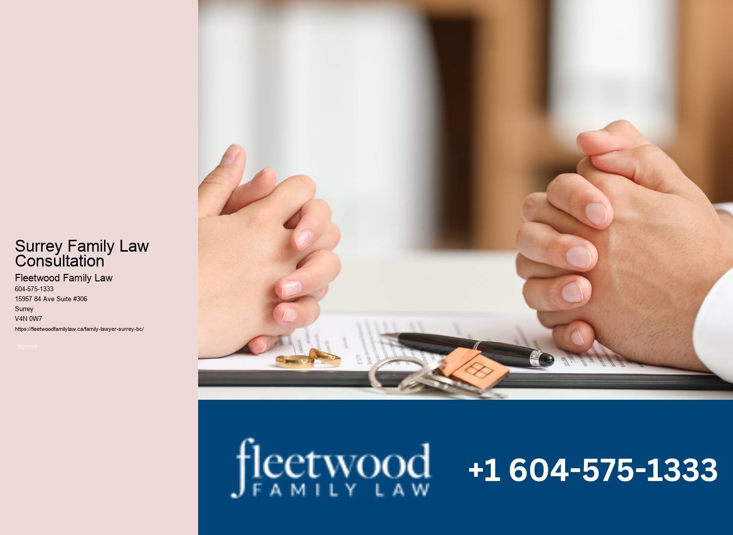Surrey Family Law Consultation Custody Lawyer