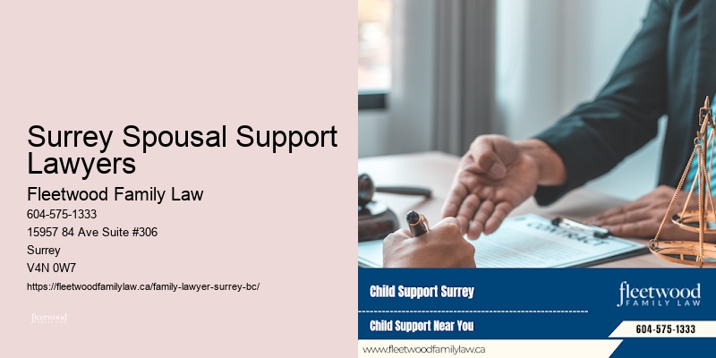 Surrey Spousal Support Lawyers