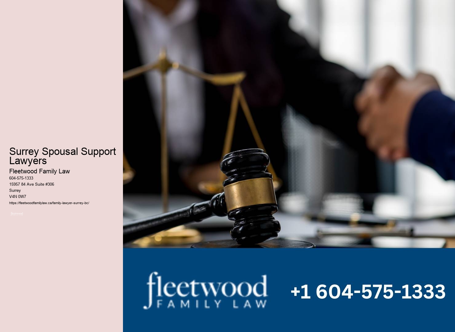 Surrey Spousal Support Lawyers Adoption Lawyer