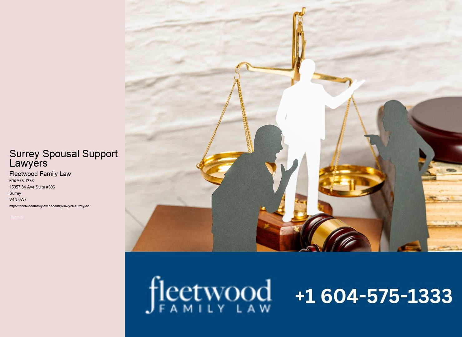 Surrey Spousal Support Lawyers Child Custody Cases