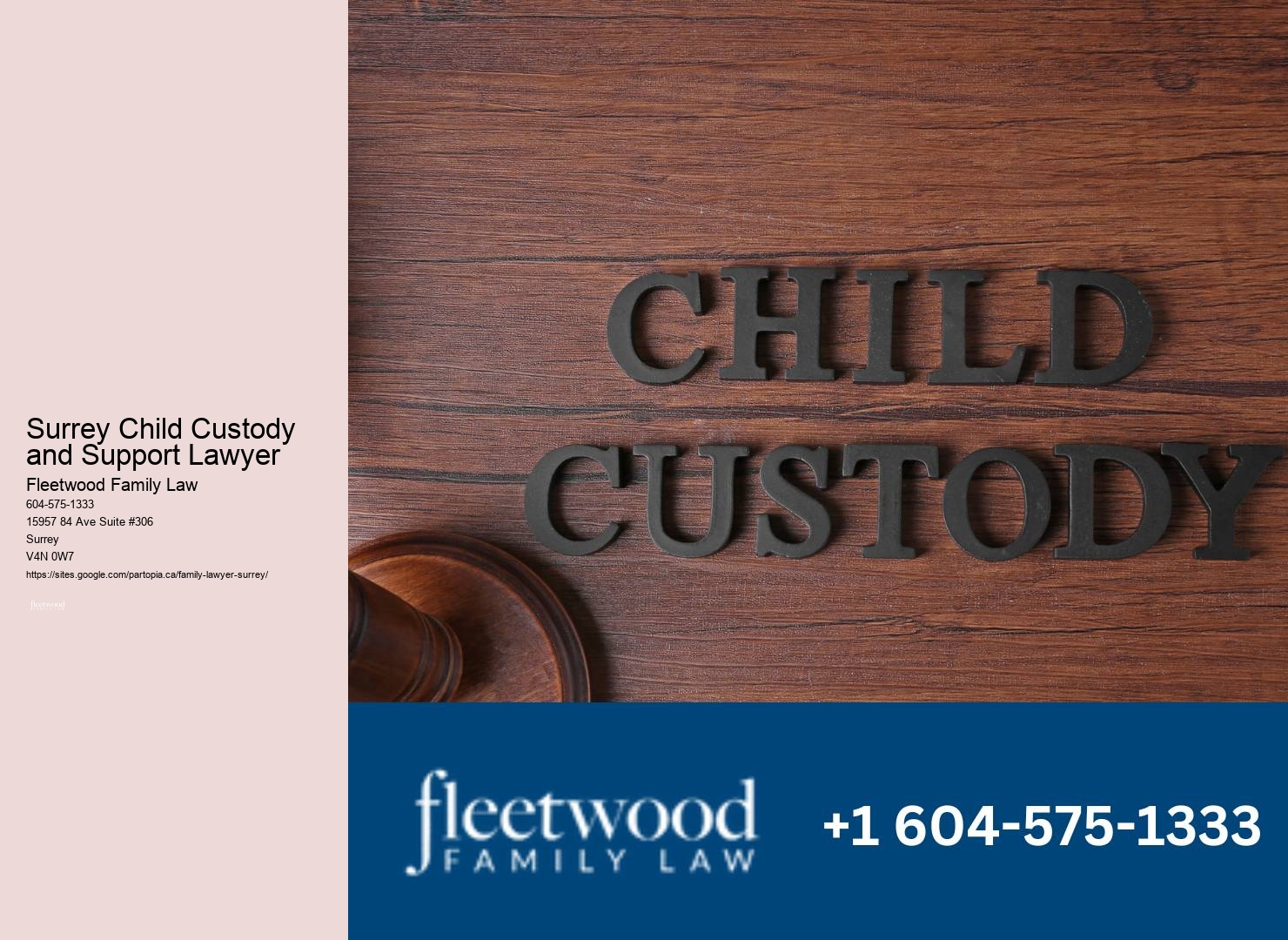 Affordable Surrey Child Custody and Support Lawyer Marriage Lawyer