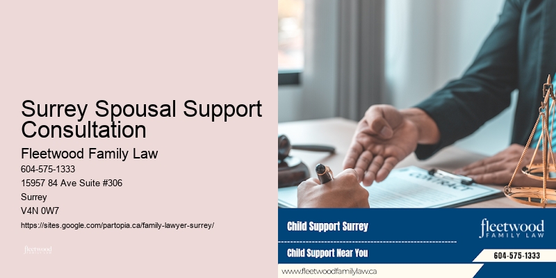 Surrey Spousal Support Consultation