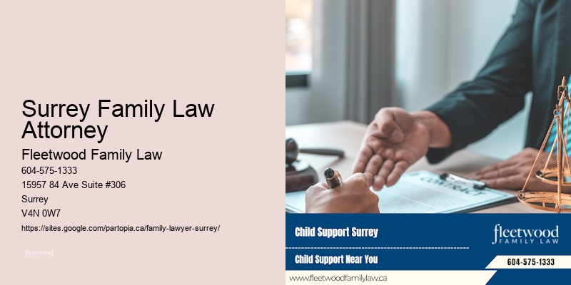 Surrey Family Law Attorney