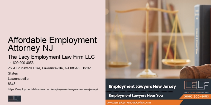 Employment Litigation Lawyer NJ