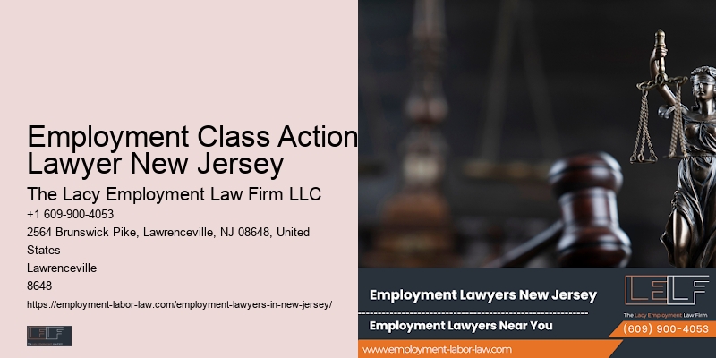 Employment Class Action Lawyer New Jersey