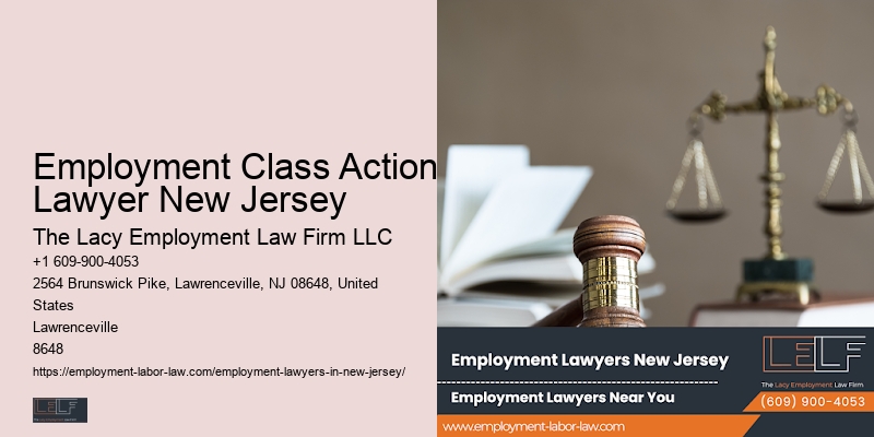 Employment Class Action Lawyer New Jersey Job Dispute Expert