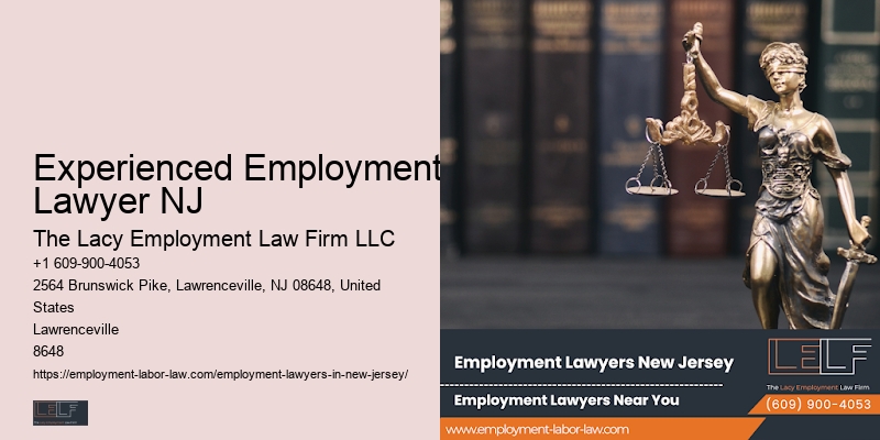 Employment Law Advisor Experienced Employment Lawyer NJ
