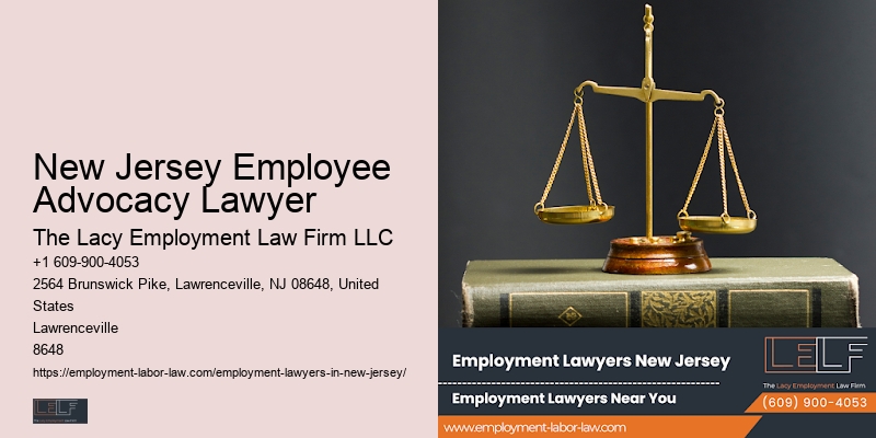 New Jersey Employee Advocacy Lawyer Employment Defense Lawyer