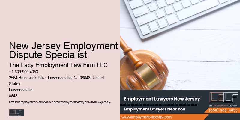 New Jersey Employment Dispute Specialist