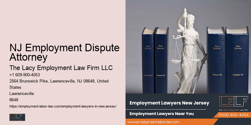 NJ Employment Litigation Expert