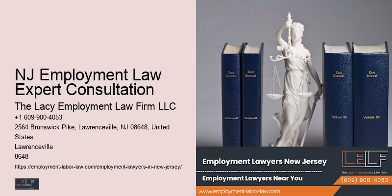 NJ Employment Law Expert Consultation